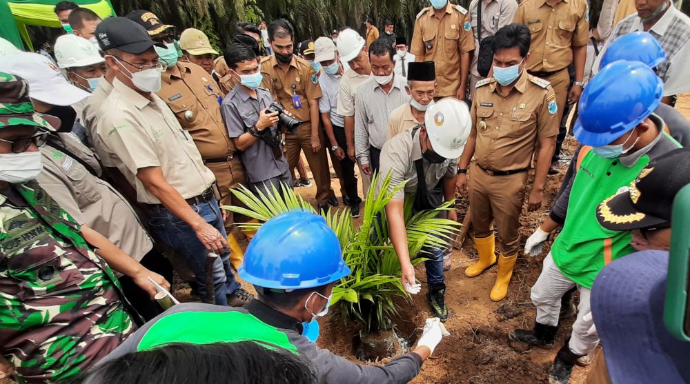 Bupati M Fadhil Arief Saat tanam perdana sawit 