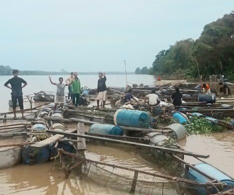Dugaan Pencurian Ikan Saat Kerambah Hanyut Dilaporkan ke Polisi