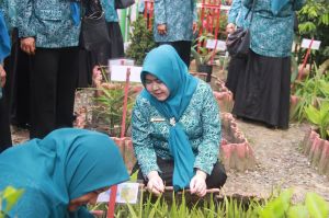  Kebun Herbal Desa Jadi Sorotan, Fadhilah Sadat Tekankan Peran PKK Wujudkan Keluarga Sehat